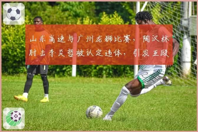 山东高速与广州龙狮比赛，陶汉林肘击李炎哲被认定违体，引发互殴