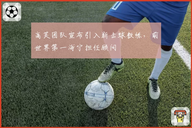 高芙团队宣布引入新击球教练，前世界第一海宁担任顾问